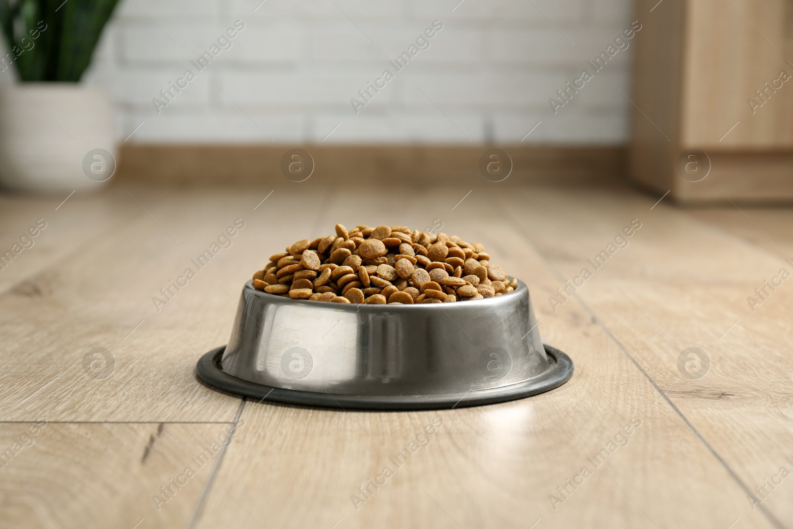 Photo of Dry pet food in feeding bowl on floor indoors