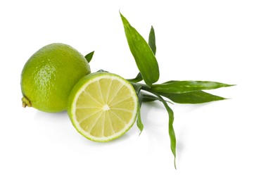 Photo of Fresh limes and bamboo leaves isolated on white
