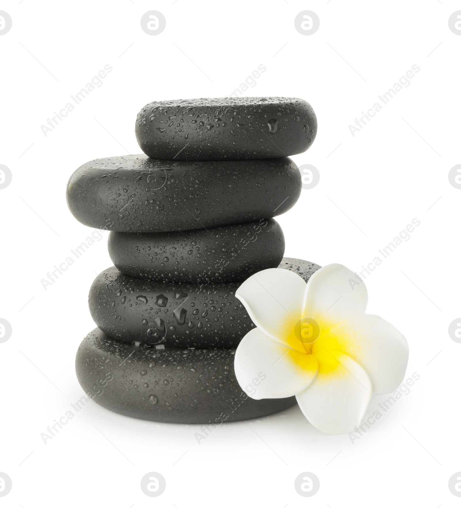 Photo of Wet spa stones with flower isolated on white