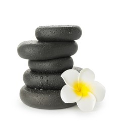 Photo of Wet spa stones with flower isolated on white