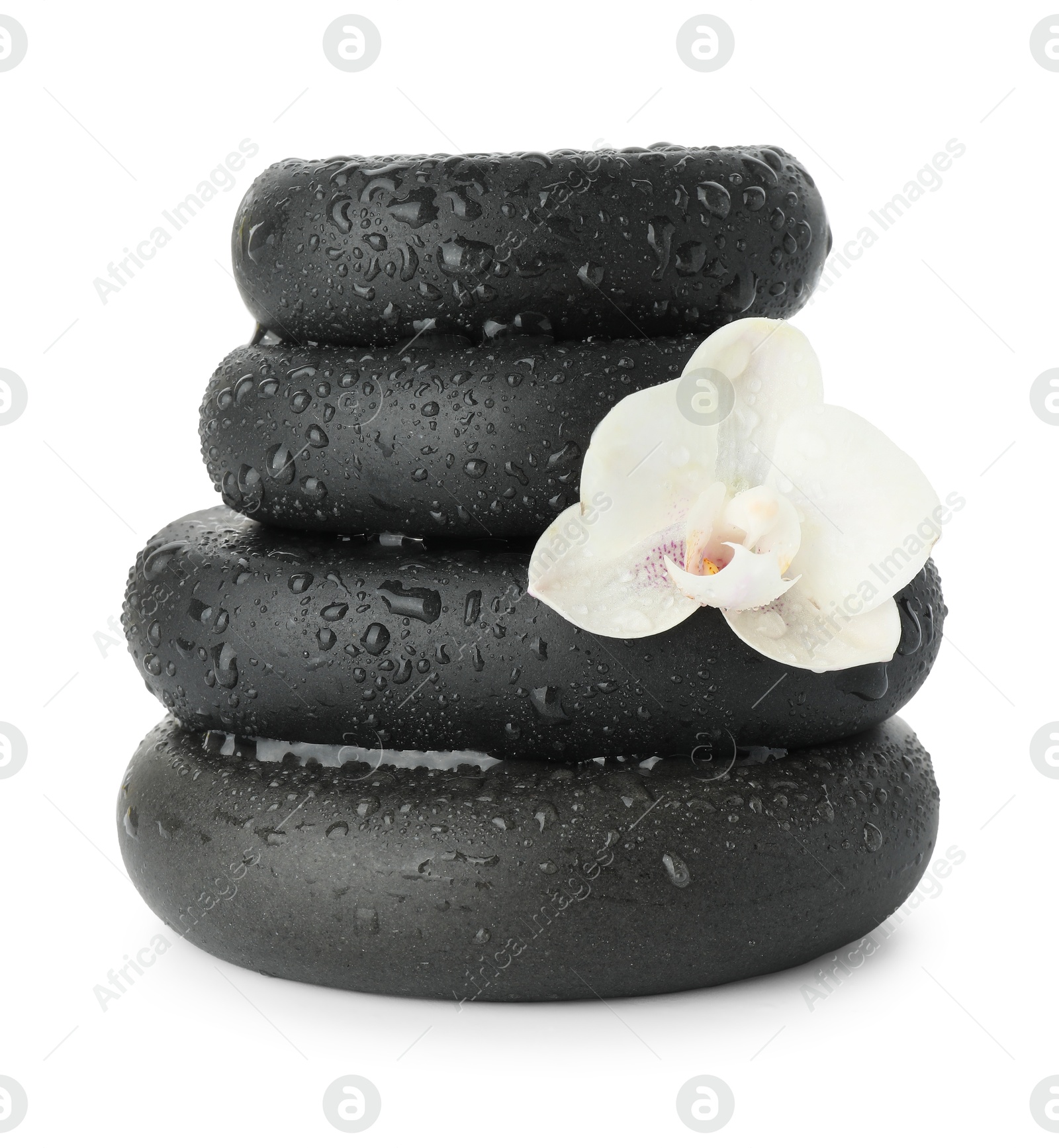 Photo of Wet spa stones with flower isolated on white