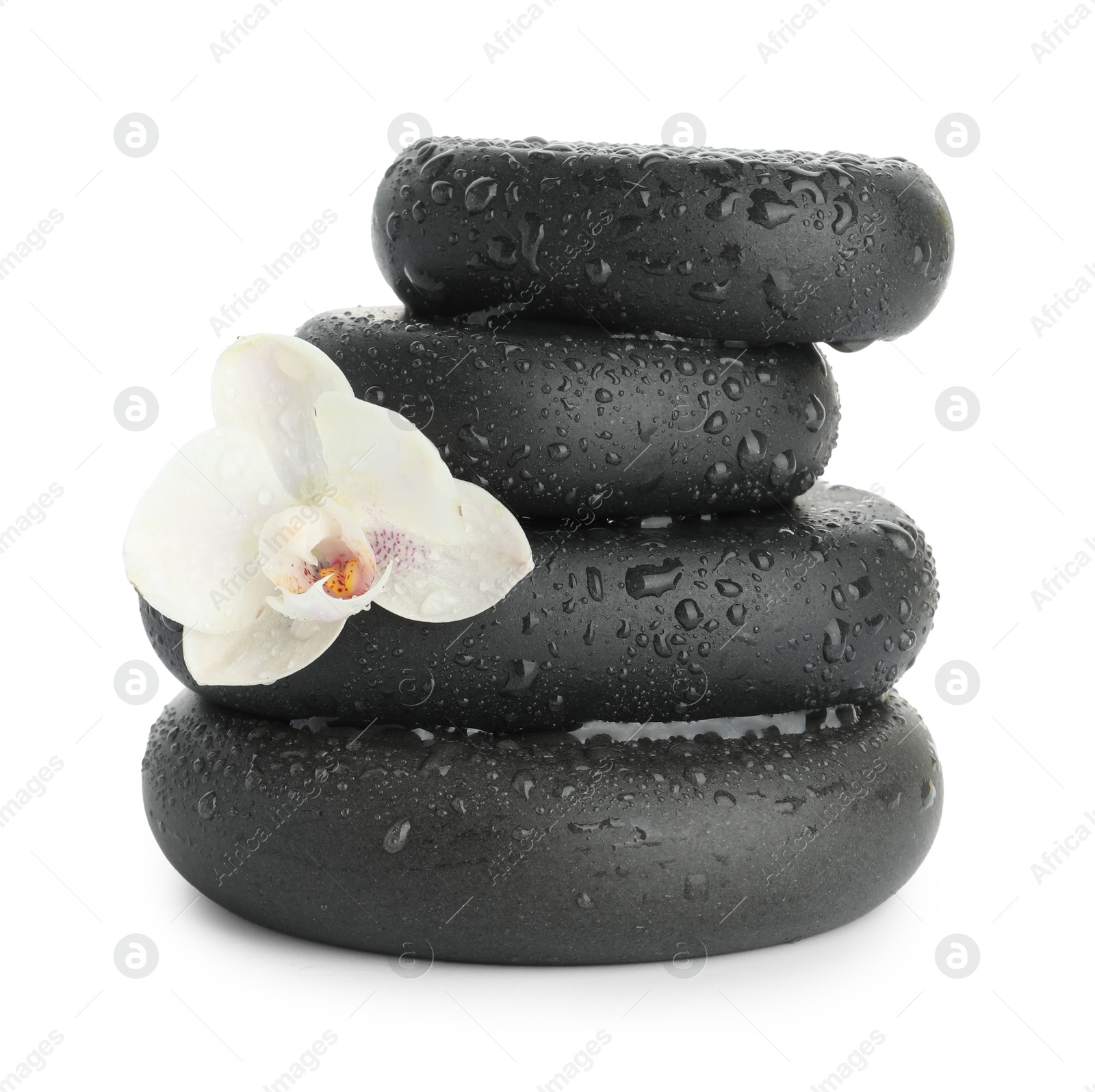 Photo of Wet spa stones with flower isolated on white