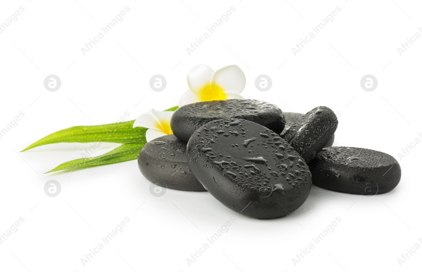 Photo of Wet spa stones with flowers and leaves isolated on white