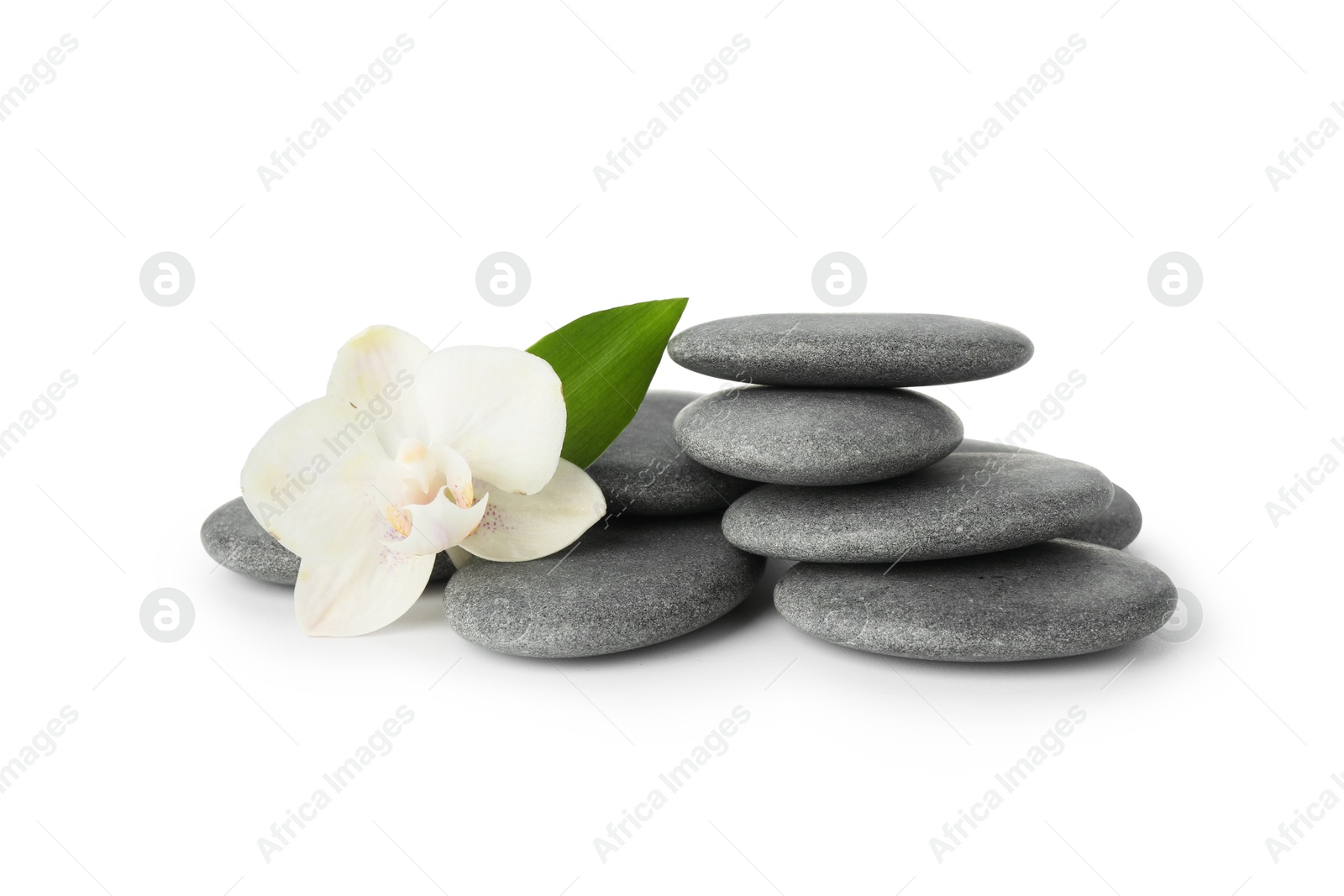 Photo of Spa stones with flower and leaf isolated on white