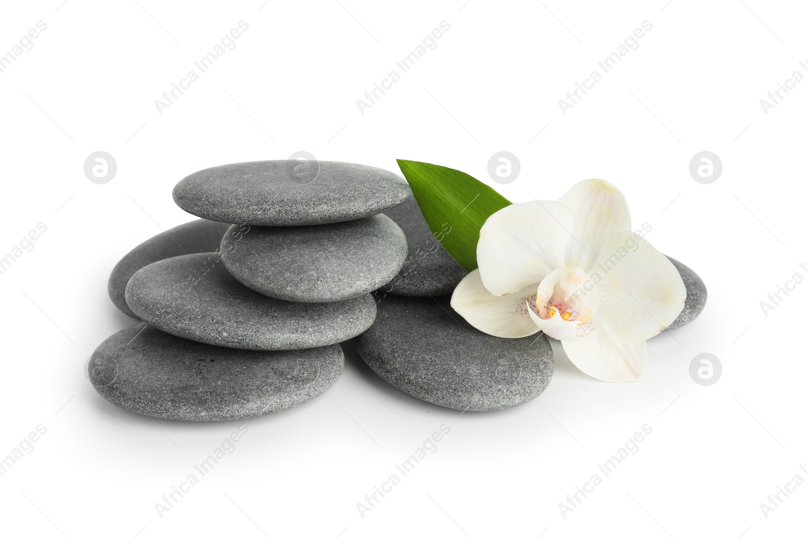 Photo of Spa stones with flower and leaf isolated on white