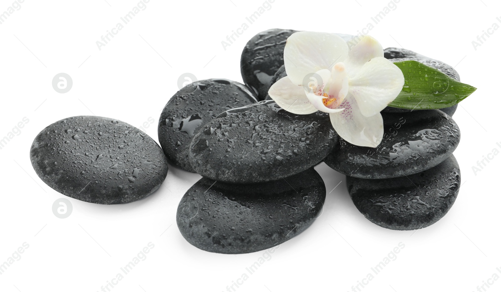 Photo of Wet spa stones with flower and leaf isolated on white