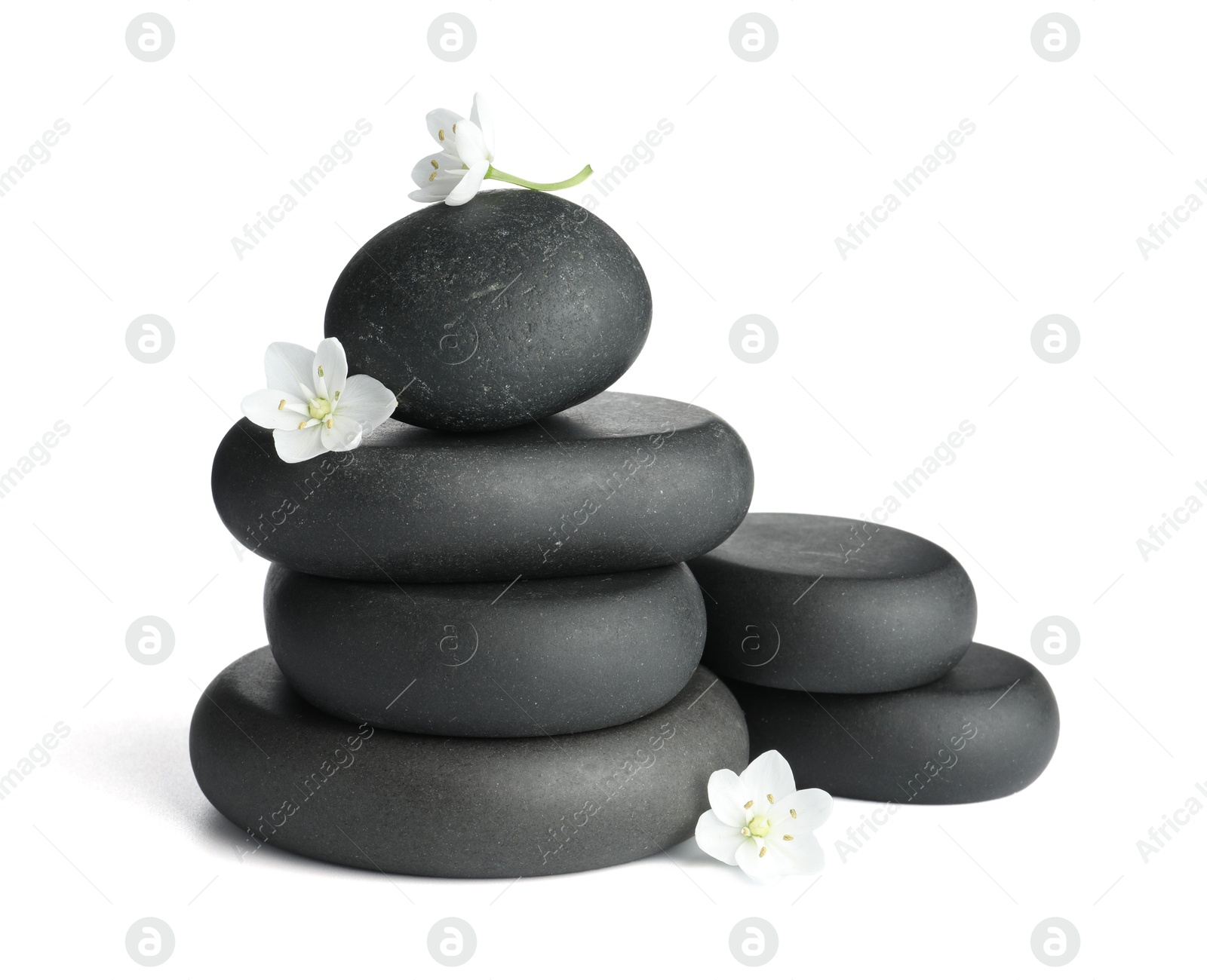 Photo of Stacked spa stones and beautiful flowers isolated on white