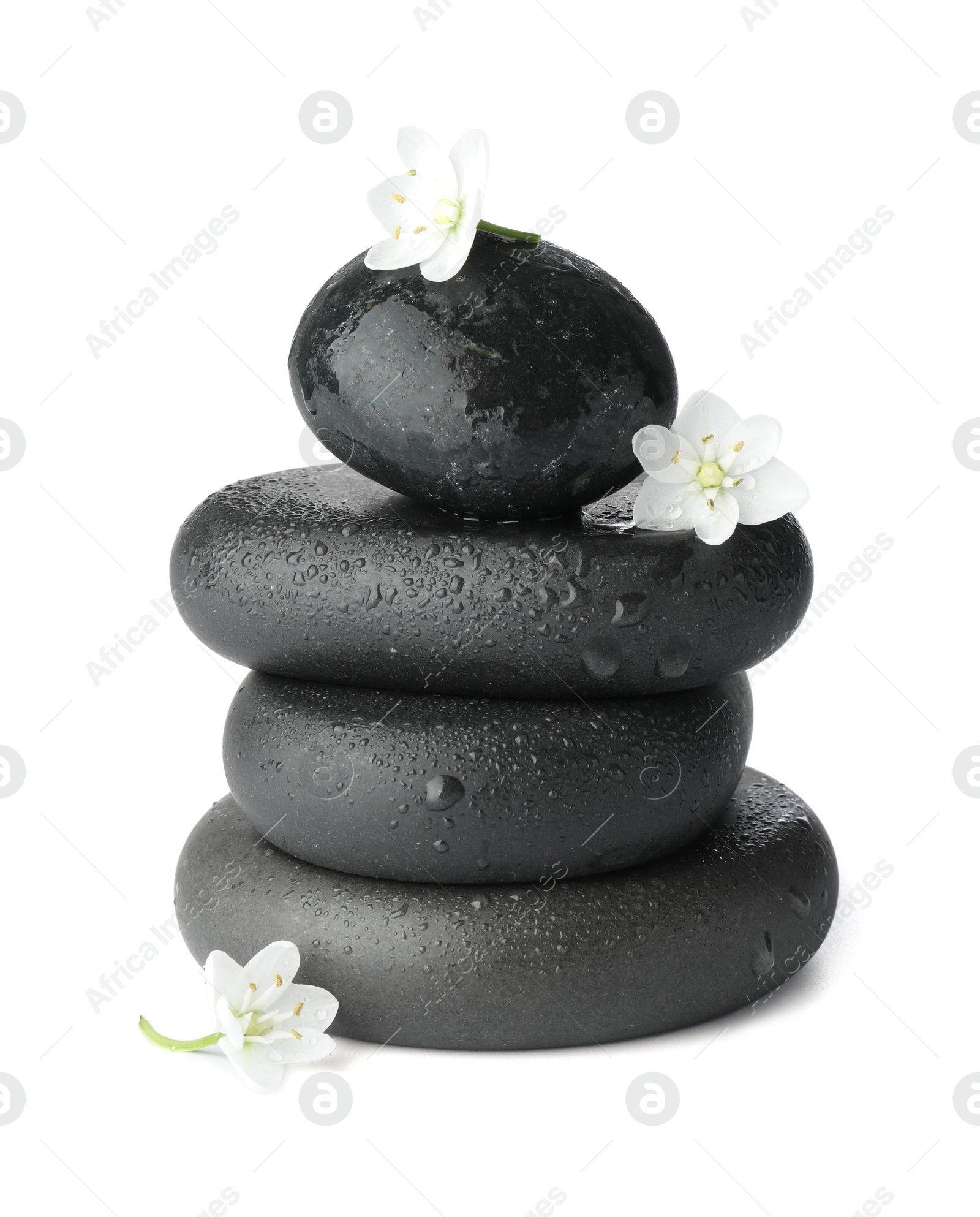 Photo of Stacked spa stones and beautiful flowers isolated on white