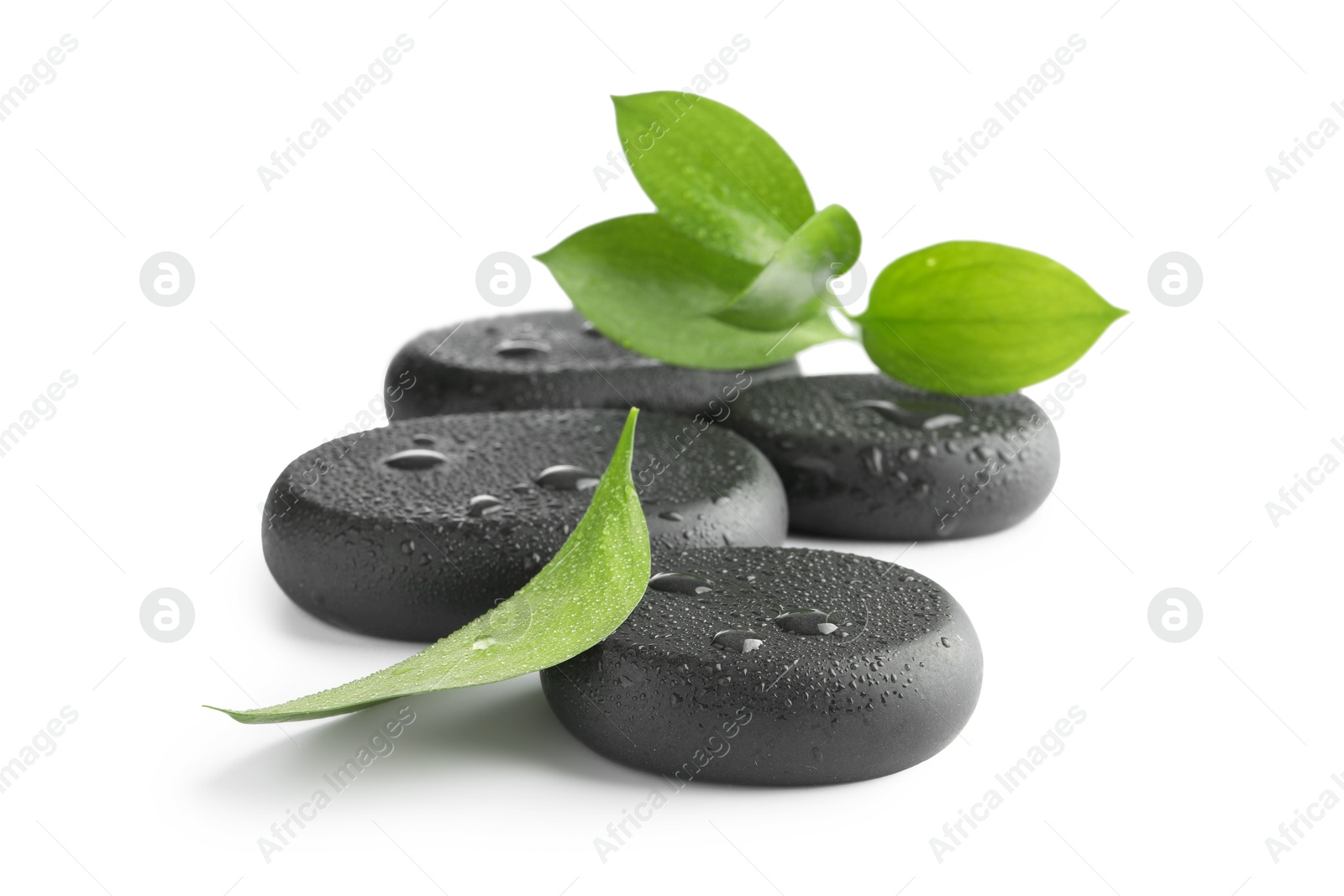 Photo of Wet spa stones and green leaves isolated on white