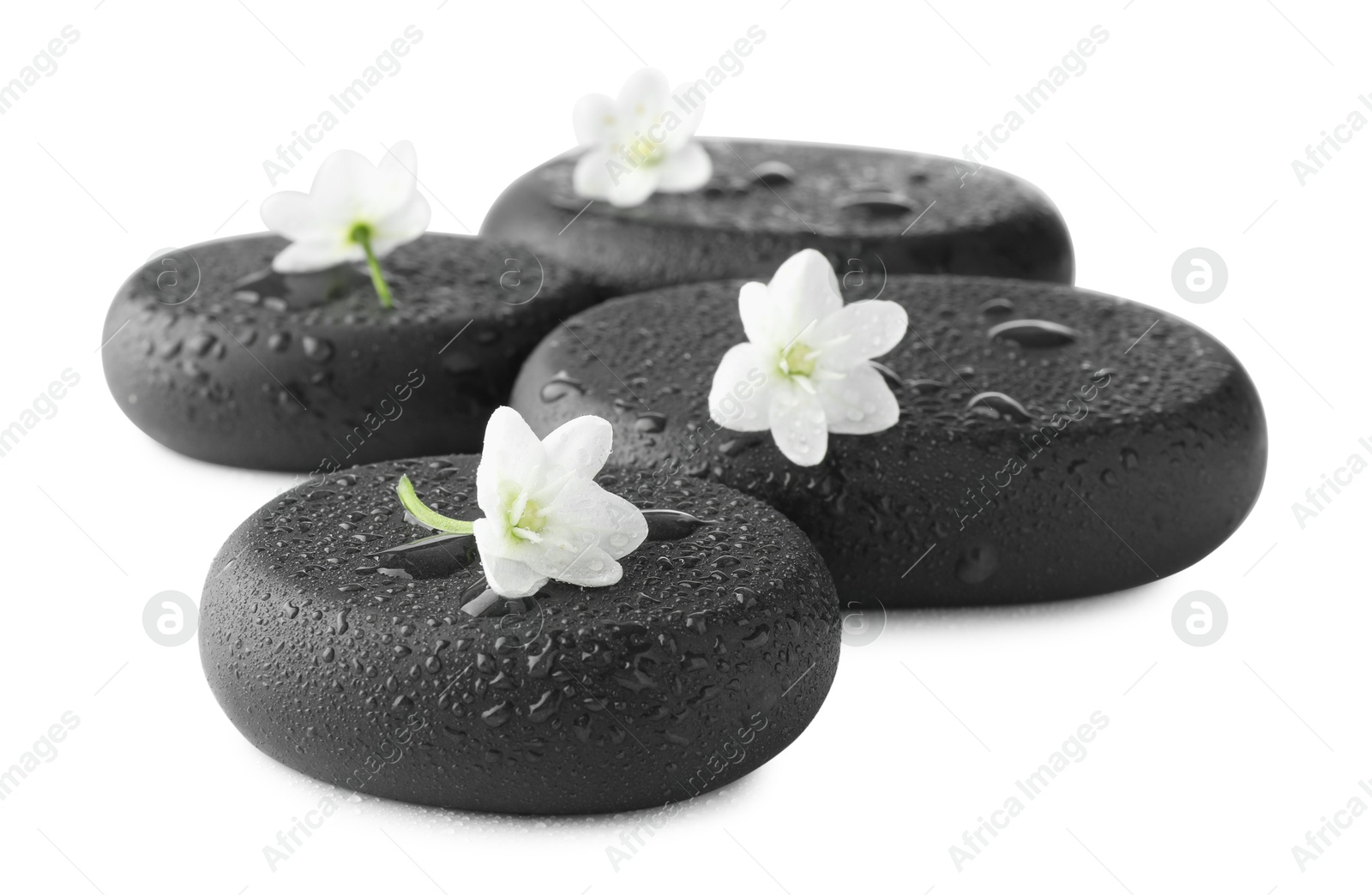 Photo of Wet spa stones and beautiful flowers isolated on white