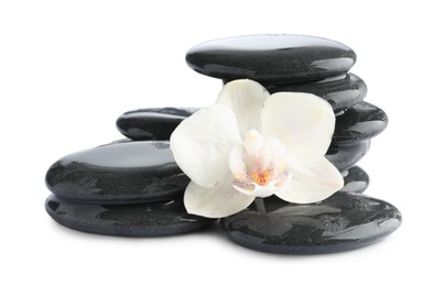 Photo of Wet spa stones and beautiful flower isolated on white