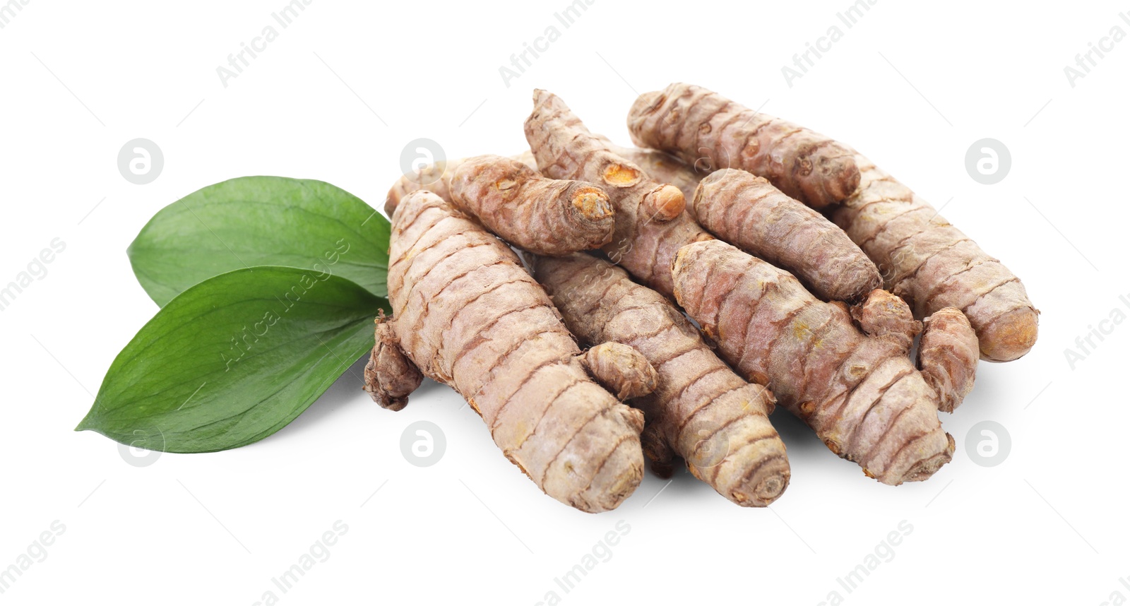 Photo of Raw turmeric roots and green leaves isolated on white