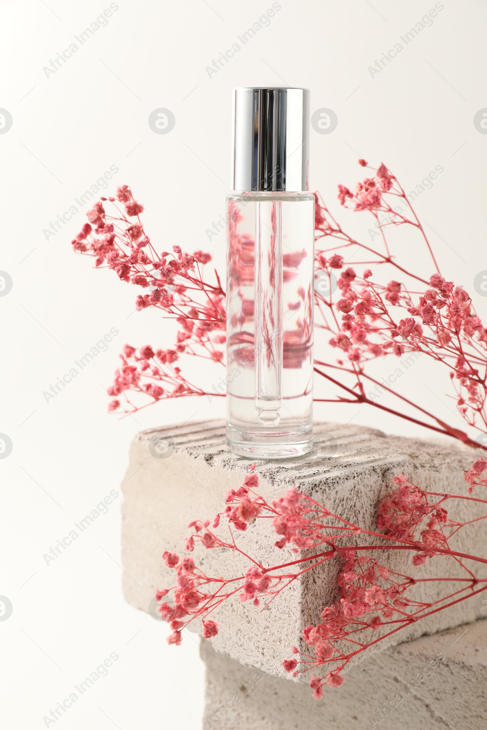 Photo of Bottle of serum and pink gypsophila flowers on concrete block against white background