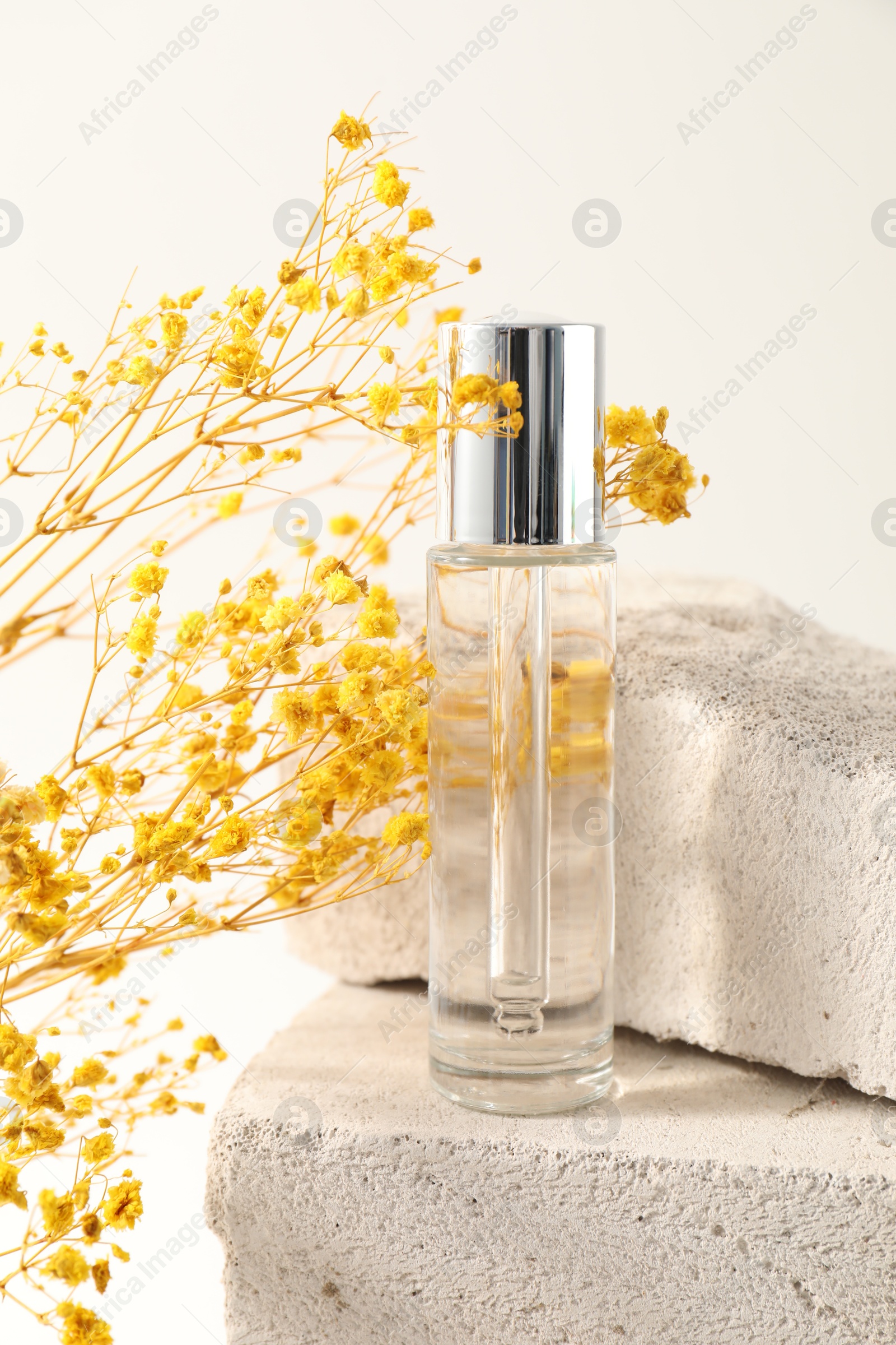 Photo of Bottle of serum on concrete block and yellow gypsophila flowers against white background