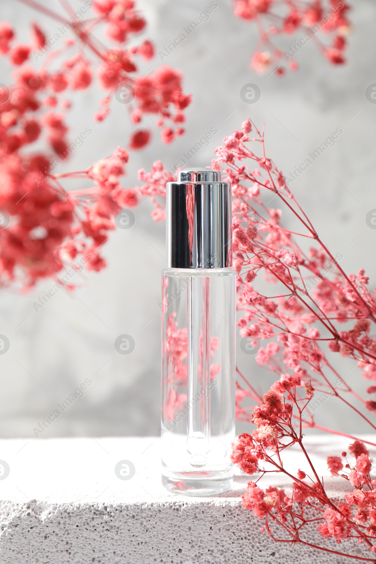 Photo of Bottle of serum and pink gypsophila flowers on concrete surface against gray background