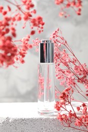 Bottle of serum and pink gypsophila flowers on concrete surface against gray background