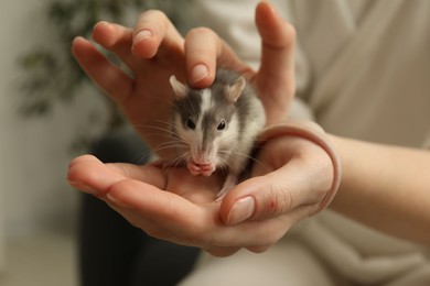 Photo of Woman with adorable little rat indoors, closeup