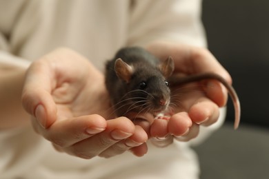 Photo of Woman with adorable little rat indoors, closeup