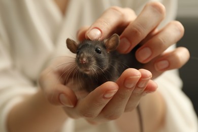 Photo of Woman with adorable little rat indoors, closeup