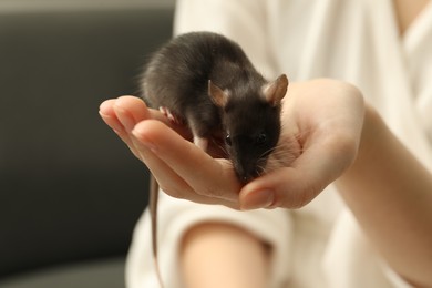 Photo of Woman with adorable little rat indoors, closeup