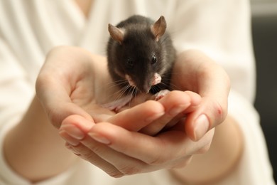 Photo of Woman with adorable little rat indoors, closeup