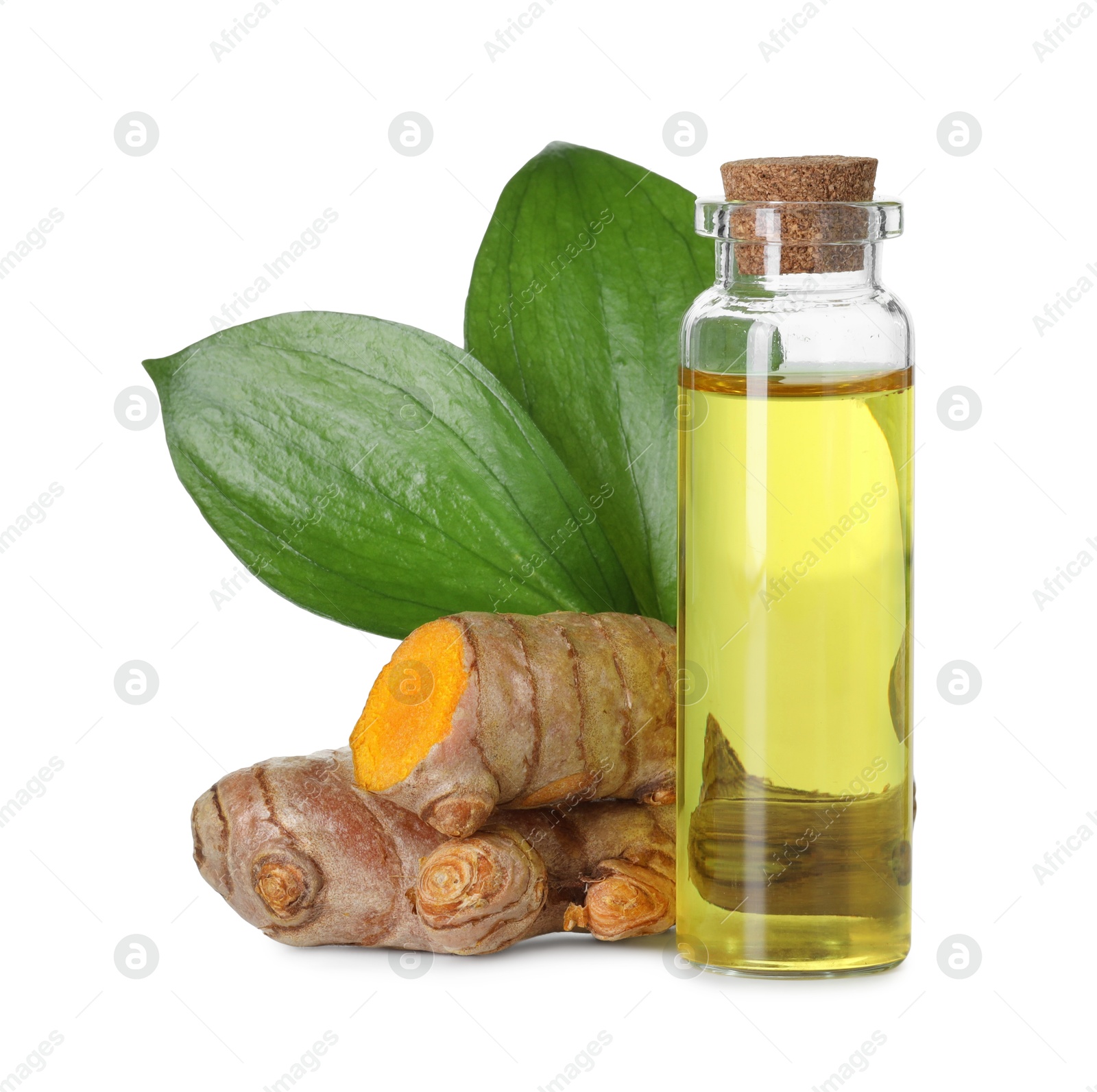 Photo of Bottle of turmeric essential oil, raw roots and leaves isolated on white