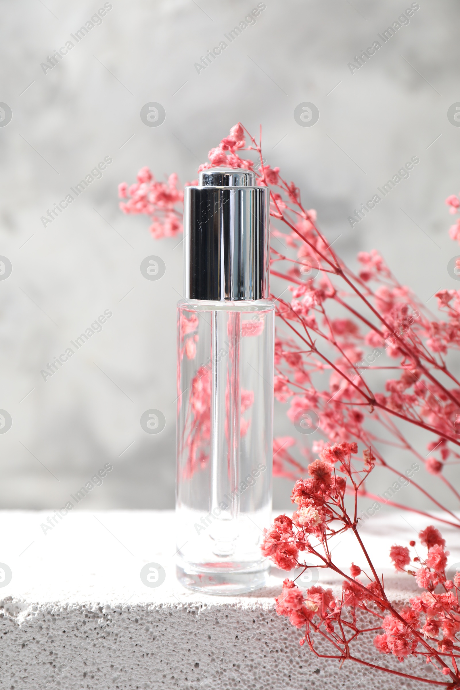 Photo of Bottle of serum and pink gypsophila flowers on concrete surface against gray background