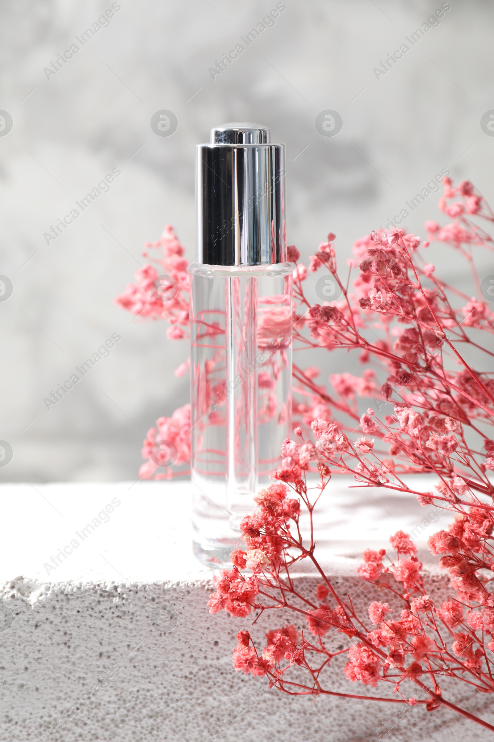 Photo of Bottle of serum and pink gypsophila flowers on concrete surface against gray background