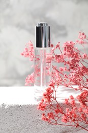 Bottle of serum and pink gypsophila flowers on concrete surface against gray background