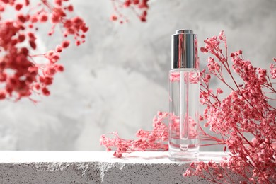 Bottle of serum and pink gypsophila flowers on concrete surface against gray background, space for text