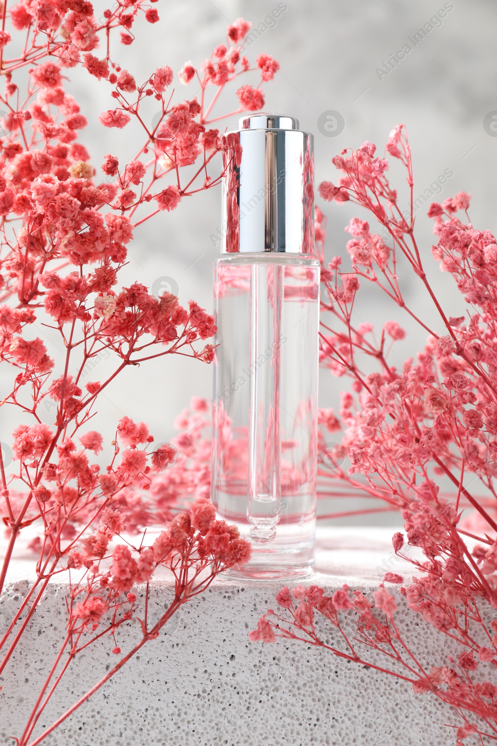 Photo of Bottle of serum and pink gypsophila flowers on concrete surface against gray background