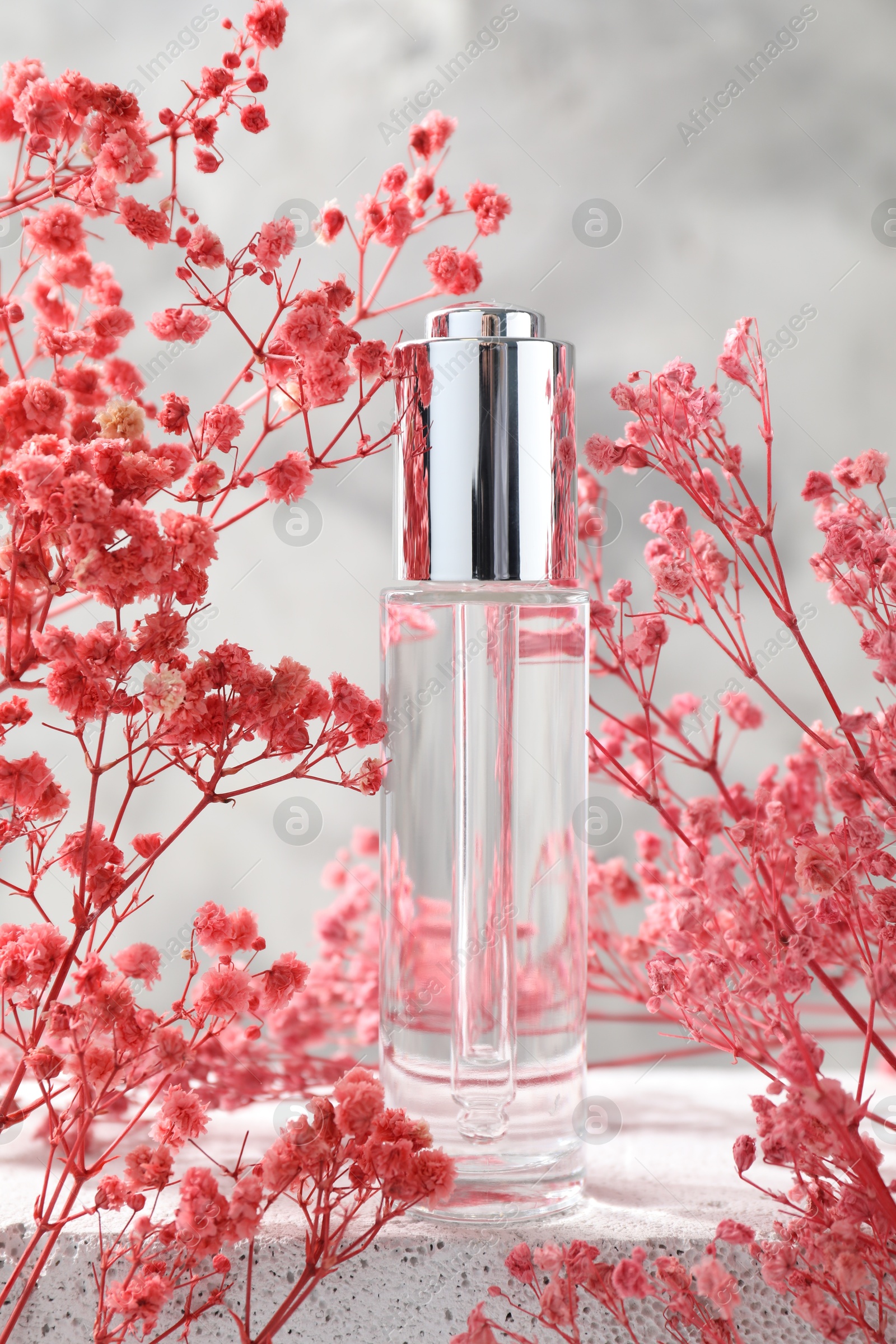 Photo of Bottle of serum and pink gypsophila flowers on concrete surface against gray background