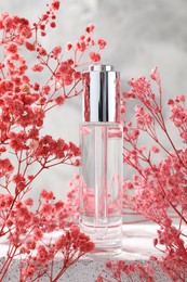 Photo of Bottle of serum and pink gypsophila flowers on concrete surface against gray background