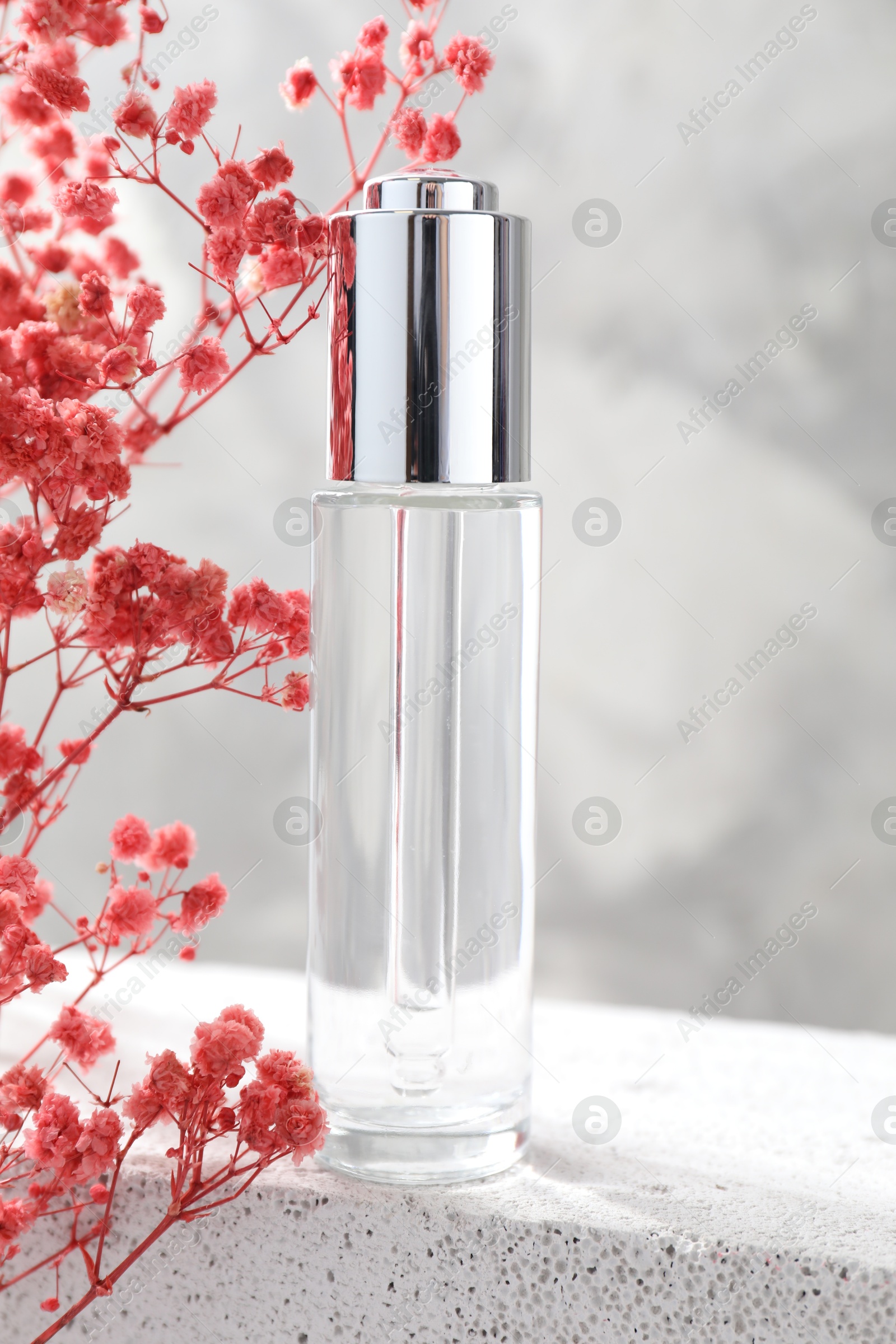 Photo of Bottle of serum and pink gypsophila flowers on concrete surface against gray background