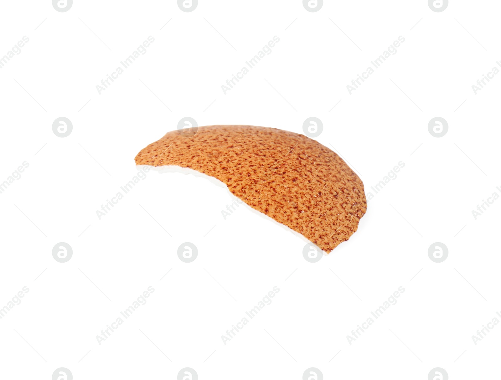 Photo of One piece of broken eggshell isolated on white