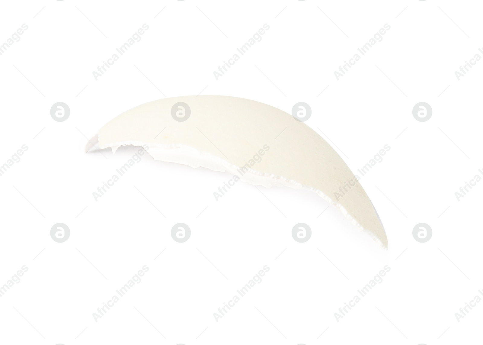 Photo of One piece of broken eggshell isolated on white, above view