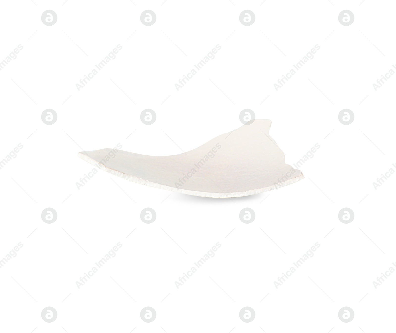 Photo of One piece of broken eggshell isolated on white