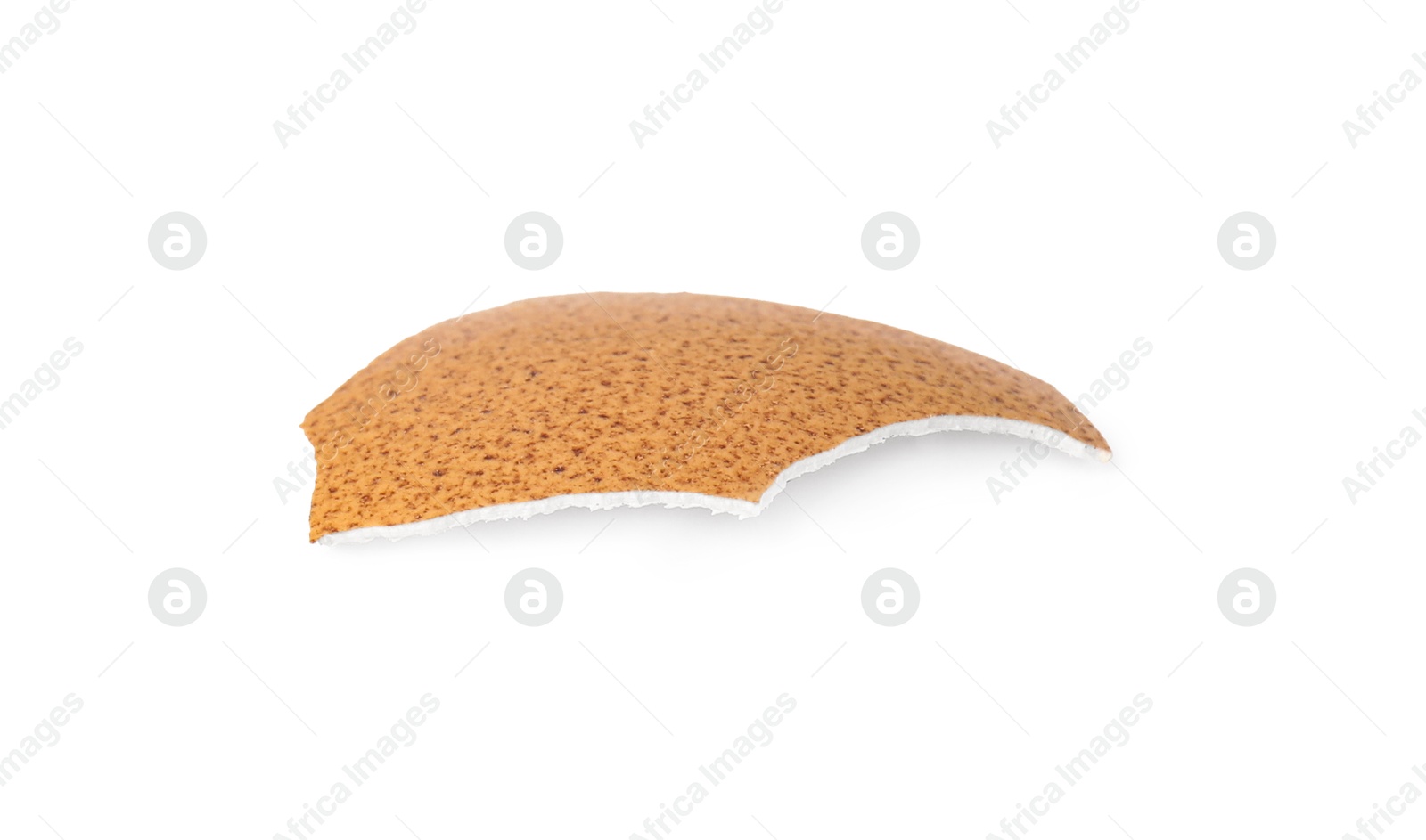 Photo of One piece of broken eggshell isolated on white