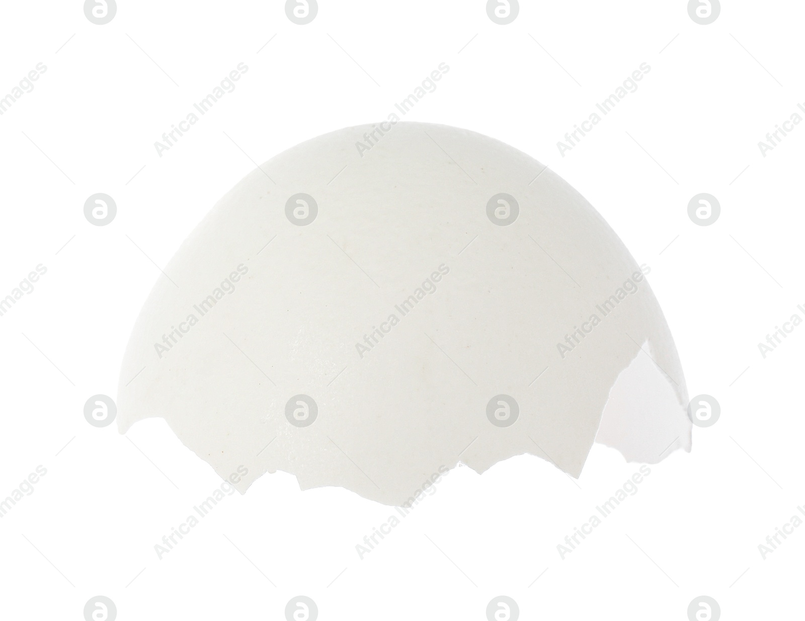 Photo of One piece of broken eggshell isolated on white