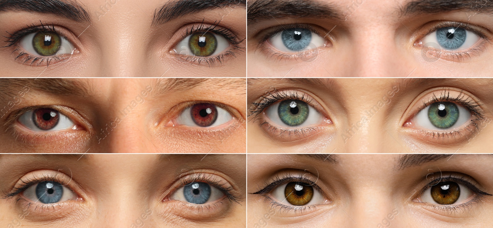 Image of People with eyes of different colors, collage of photos