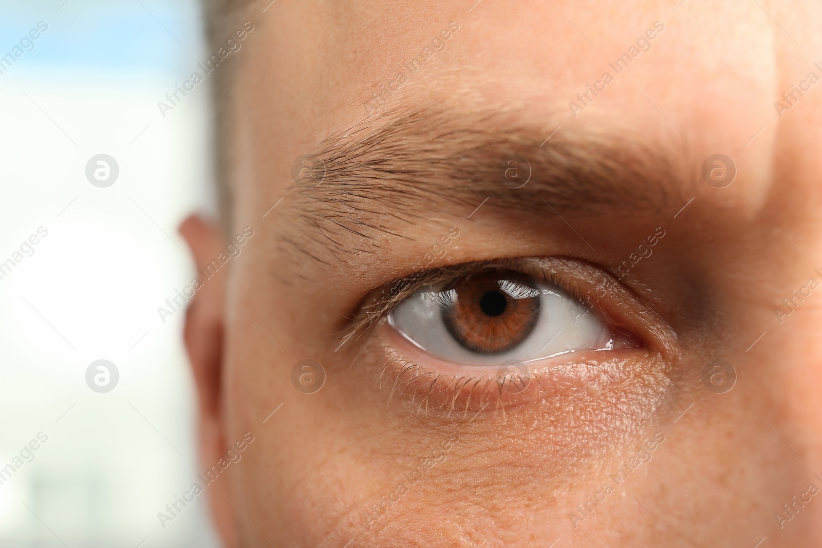 Image of Closeup view of man with brown eyes