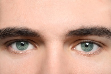 Image of Closeup view of man with blue eyes