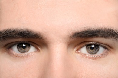 Image of Closeup view of man with grey eyes