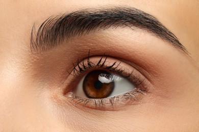 Image of Closeup view of woman with brown eyes