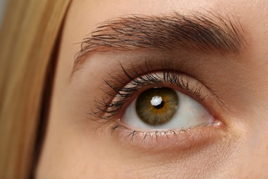 Image of Closeup view of woman with brown eyes