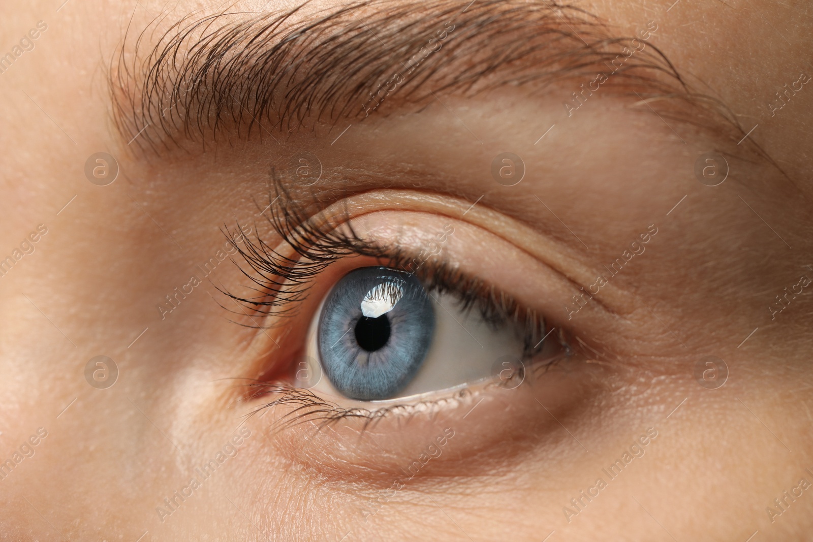 Image of Closeup view of woman with blue eyes