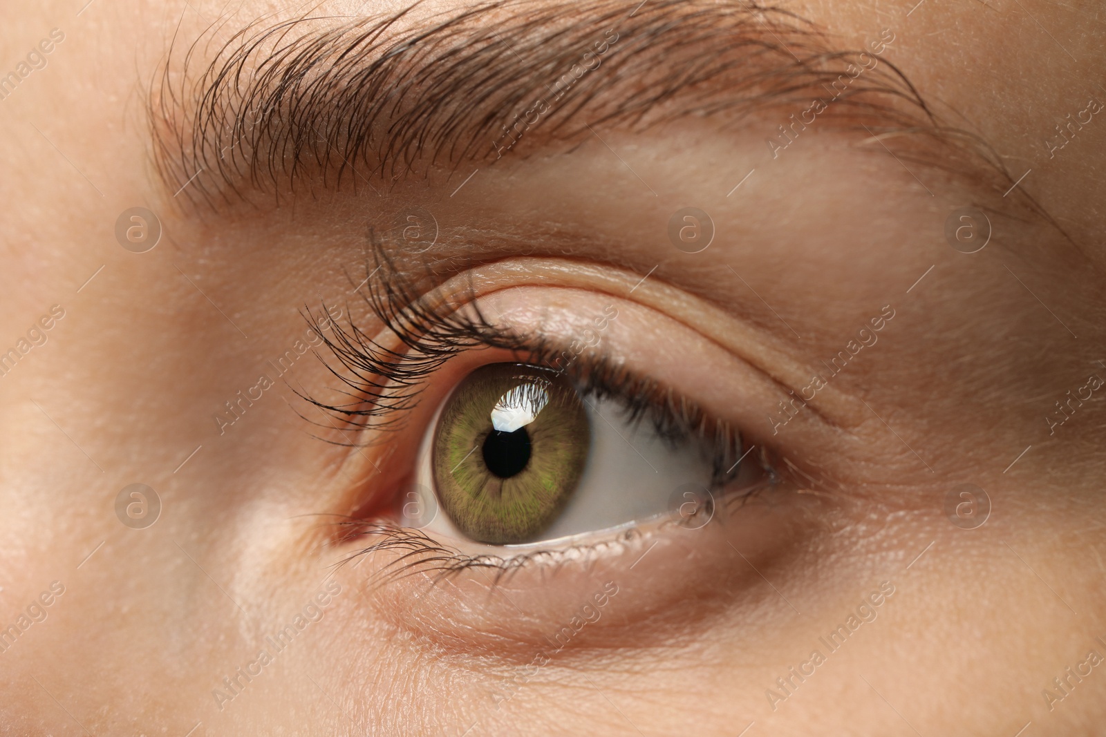 Image of Closeup view of woman with green eyes