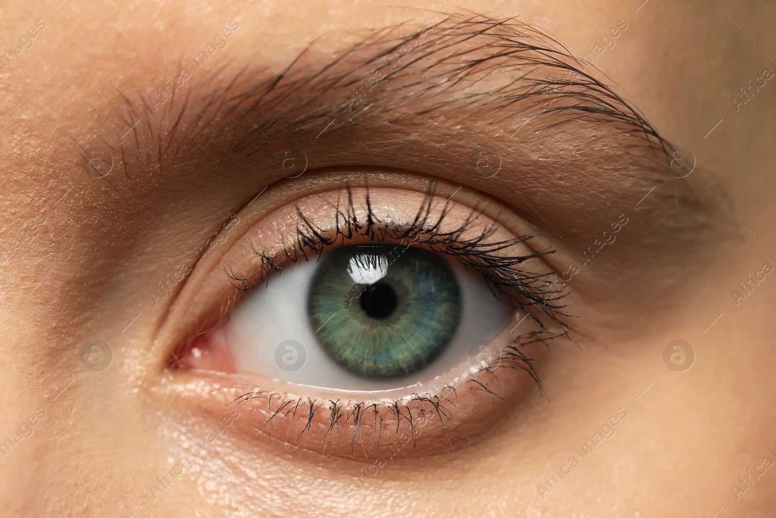 Image of Closeup view of woman with green eyes