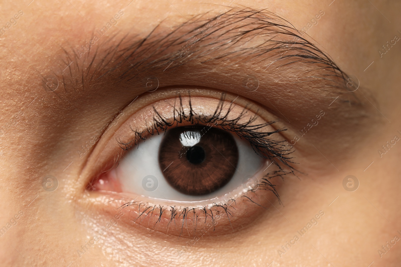 Image of Closeup view of woman with brown eyes