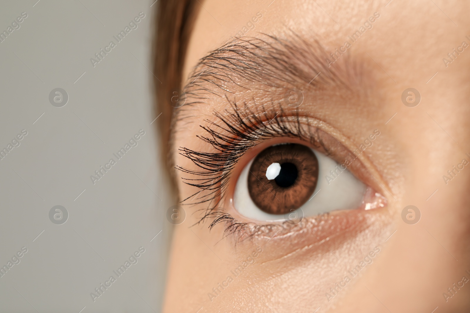 Image of Closeup view of woman with brown eyes